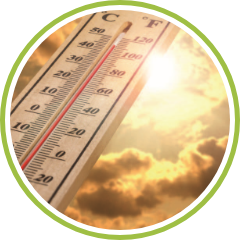 COLPO SOLE/VENTO CALDO
